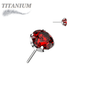 Titanium Threadless CNC Cut Round Gem in Claw Set (Top Only)