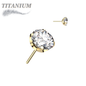 Titanium Threadless CNC Cut Round Gem in Claw Set (Top Only)
