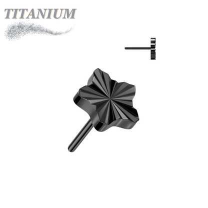 Titanium Threadless Star Shape Ridged (Top Only)