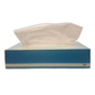 Facial Tissue Box of 100 (CLEARANCE)