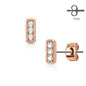 Surgical Steel Earrings Rectangle w/ Triple Set CZ