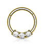 Surgical Steel Hinged Ring with Front Facing Prong Clasp 3 Gems