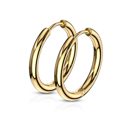Surgical Steel Hinged Hoop Earrings