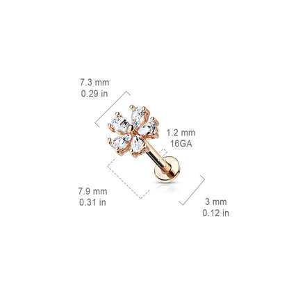 Surgical Steel/Brass Internally Threaded Labret w/ 5 CZ Petal Opened Flower (CLEARANCE)