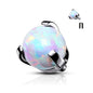 Surgical Steel Internally Threaded Opal Claw Set Ball (Top Only)