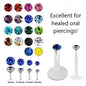 Acrylic Threadless Labret Combo with Press Fit Gem
